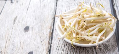 Fasulye Filiz beyaz kase