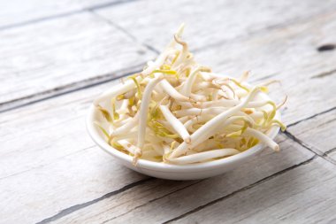 Fasulye Filiz beyaz kase