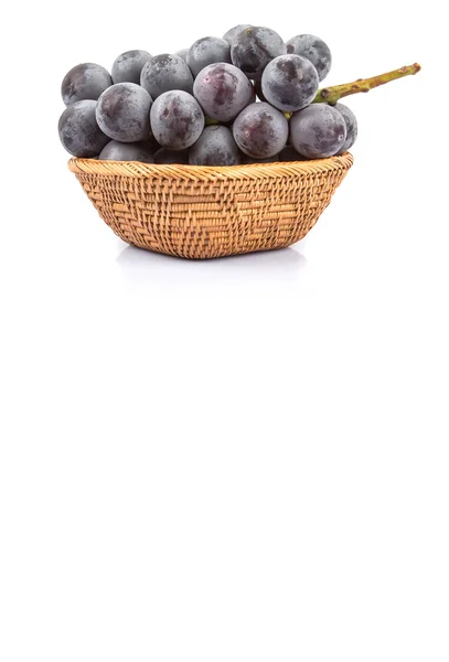 Fruits de raisin noir — Photo