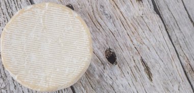 Yuvarlak mavi peynir