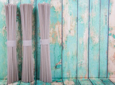 Japon Soba Noodle sopa