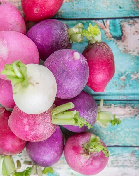 Mix Colorful Radish Vegetable — Stock Photo, Image