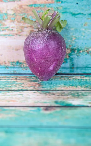 Piccoli ravanello viola Verdura — Foto Stock