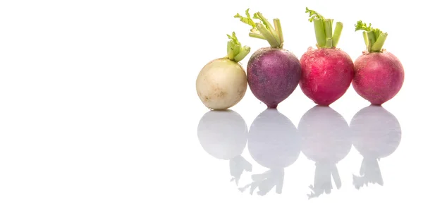 Mix Colorful Radish Vegetables — Stock Photo, Image