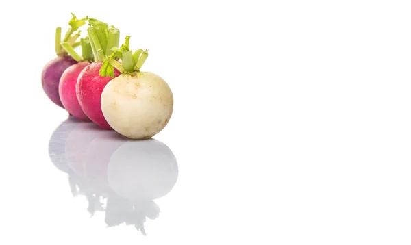 Wymieszać warzywa kolorowe rzodkiewka — Zdjęcie stockowe