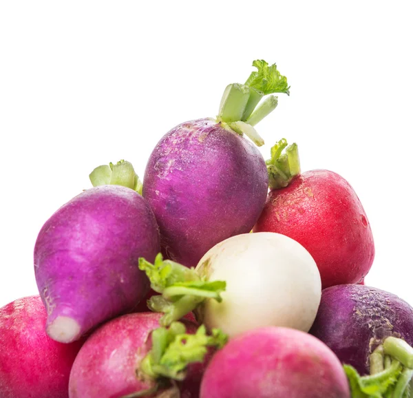 Misture legumes de rabanete coloridos — Fotografia de Stock