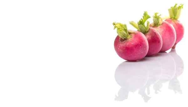 Pink Radish Vegetable — Stock Photo, Image