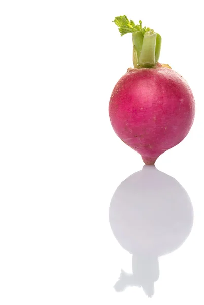 Rábano rosado vegetal — Foto de Stock