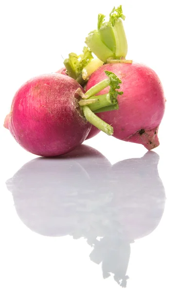 Pink Radish Vegetable — Stock Photo, Image
