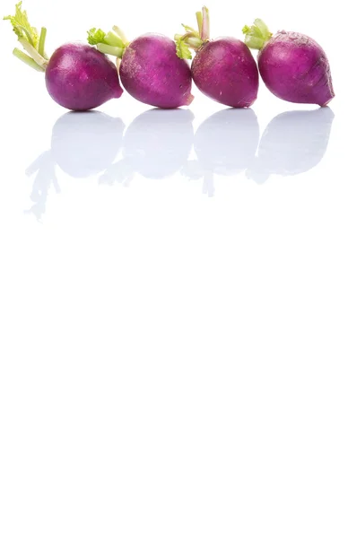 Small Purple Radish Vegetable — Stock Photo, Image