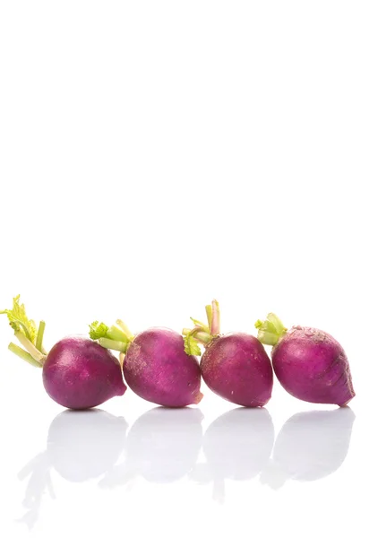 Small Purple Radish Vegetable — Stock Photo, Image