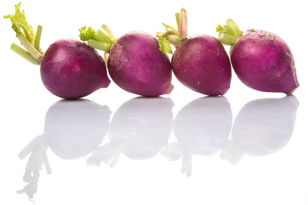 Vegetais de rabanete roxo pequeno — Fotografia de Stock