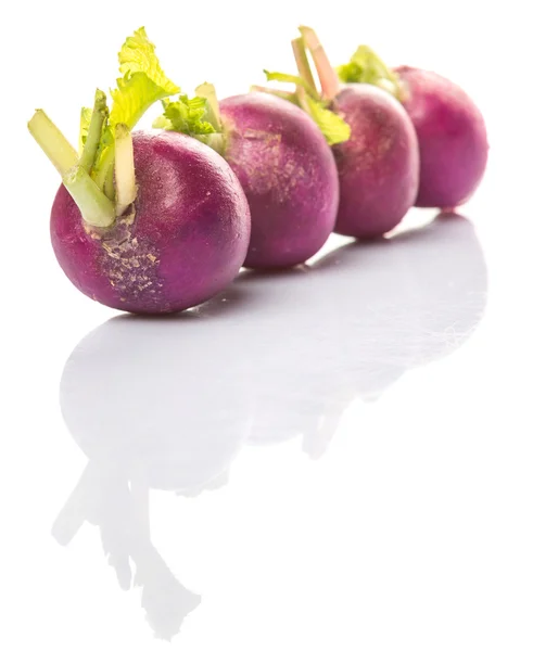 Vegetais de rabanete roxo pequeno — Fotografia de Stock