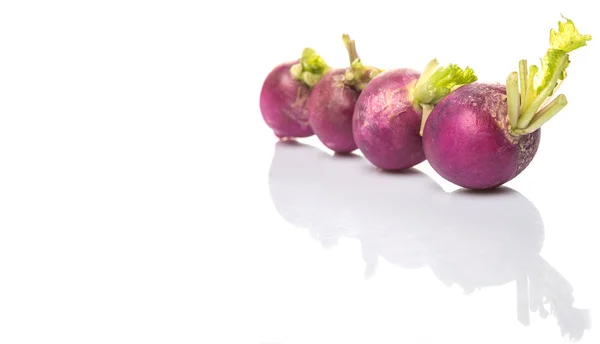 Pequeño rábano púrpura vegetal — Foto de Stock
