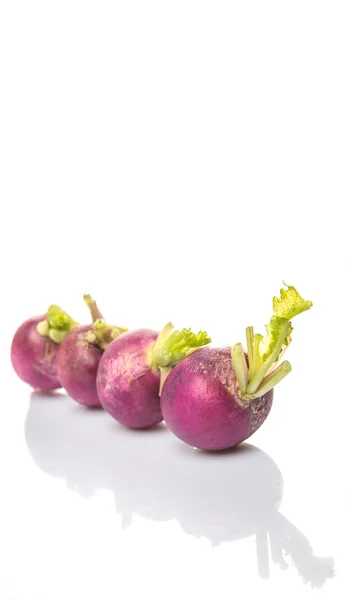 Kleines violettes Rettichgemüse — Stockfoto