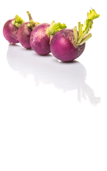 Small Purple Radish Vegetable