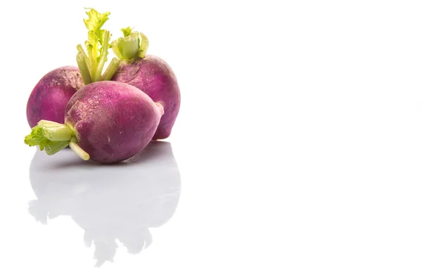Małe fioletowe rzodkiewka warzywo — Zdjęcie stockowe