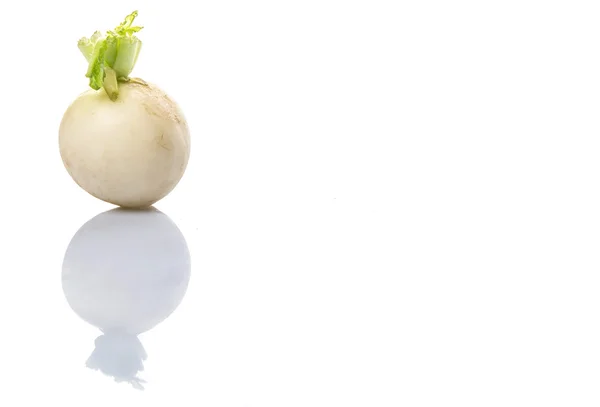 White Radish Vegetable — Stock Photo, Image