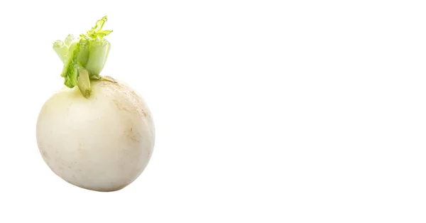 White Radish Vegetable — Stock Photo, Image