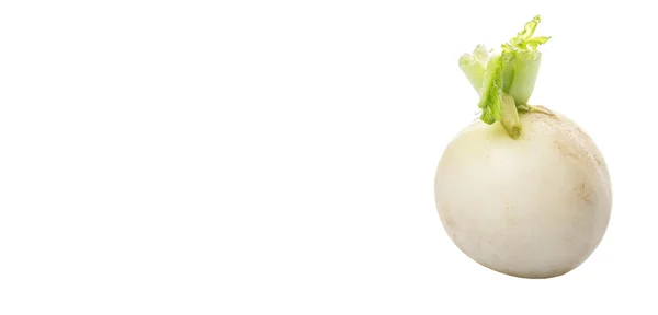 White Radish Vegetable — Stock Photo, Image