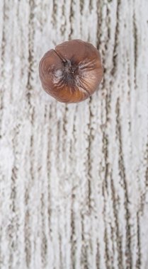 Kavrulmuş Bütün soyulmuş kestane