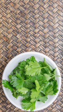 Taze Parlsey otlar bırakır