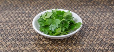 Taze Parlsey otlar bırakır