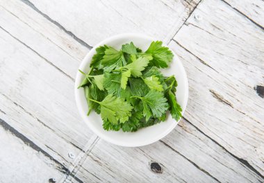 Taze Parlsey otlar bırakır