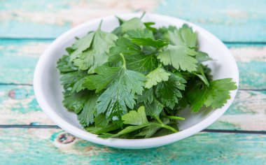 Taze Parlsey otlar bırakır