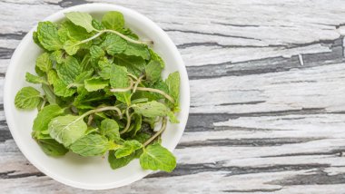 Otlar taze nane yaprakları