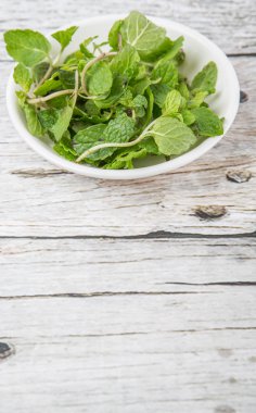 Otlar taze nane yaprakları