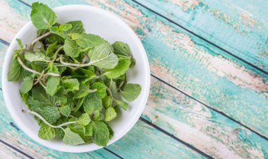 Otlar taze nane yaprakları