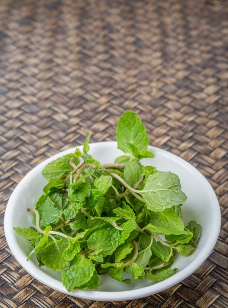 Frische Minzblätter Kräuter — Stockfoto