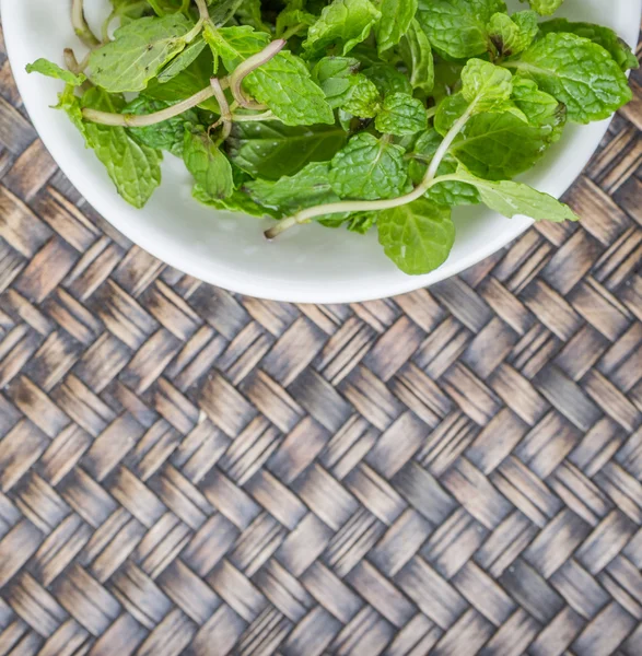 Fresh Mint Leaves Herbs — Stock Photo, Image