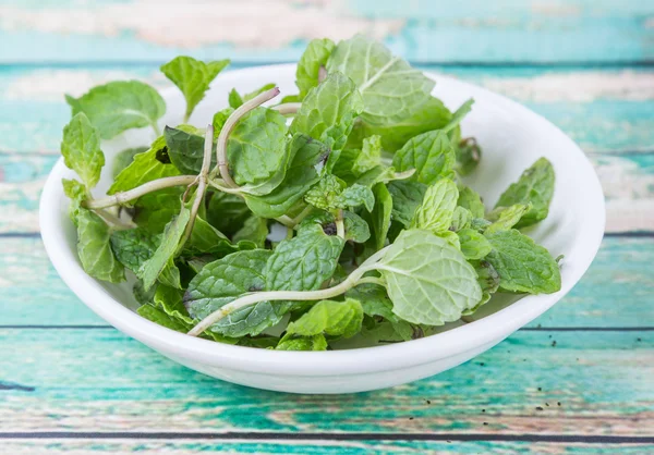 Herbes fraîches de feuilles de menthe — Photo