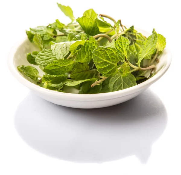 Herbal mint segar — Stok Foto