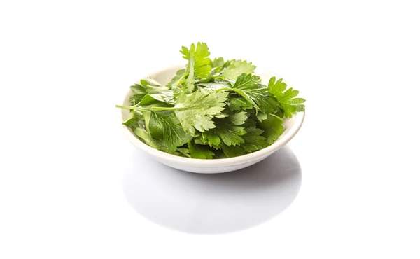 Herbal Parsley Segar — Stok Foto