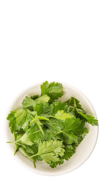 Herbal Parsley Segar — Stok Foto