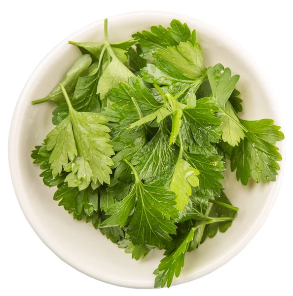 Herbal Parsley Segar — Stok Foto