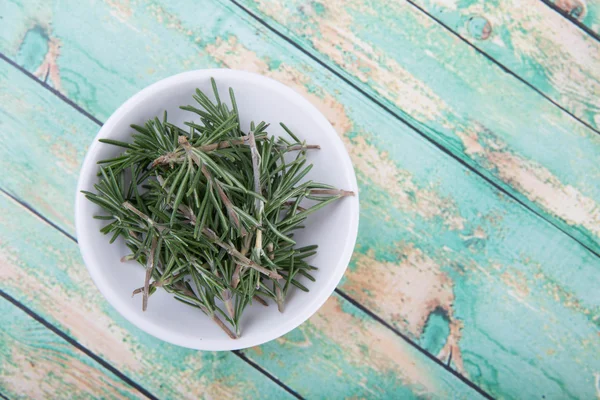 Fresh Rosemary Herbs — Stock Photo, Image