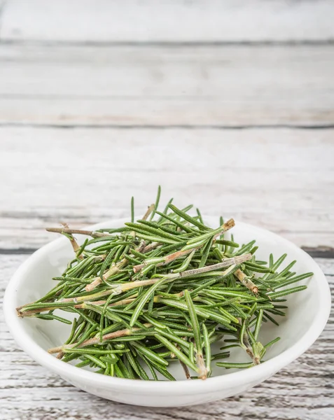 Fresh Rosemary Herbs — Stock Photo, Image