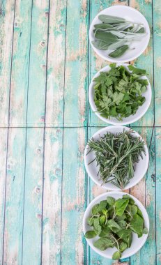 Adaçayı yaprağı, biberiye, nane, maydanoz