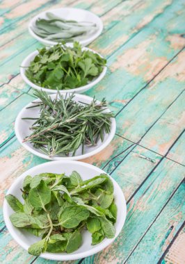 Adaçayı yaprağı, biberiye, nane, maydanoz