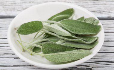 Adaçayı yaprakları otlar