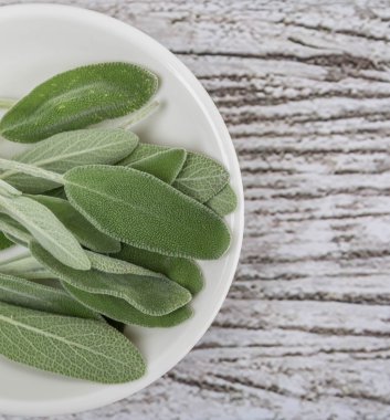 Adaçayı yaprakları otlar