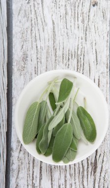 Adaçayı yaprakları otlar