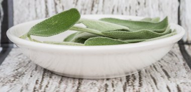 Adaçayı yaprakları otlar