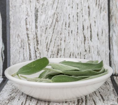 Adaçayı yaprakları otlar