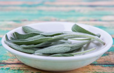 Adaçayı yaprakları otlar