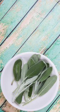 Adaçayı yaprakları otlar